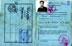 Ingrandisci il documento